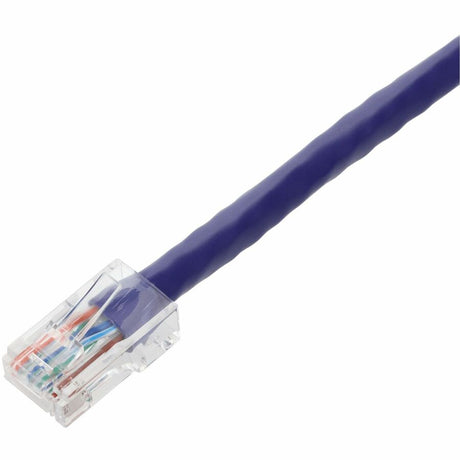6IN PURPLE CAT6 PVC