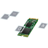 Transcend 420S 480 GB Solid State Drive - M.2 2242 Internal - SATA (SATA/600)