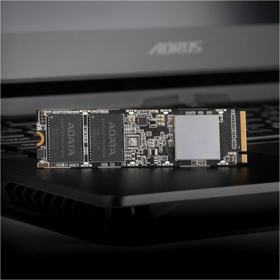 Adata ASX8100NP-256GT-C 256 GB Solid State Drive - 2.5" Internal - PCI Express NVMe (PCI Express NVMe 3.0 x4)