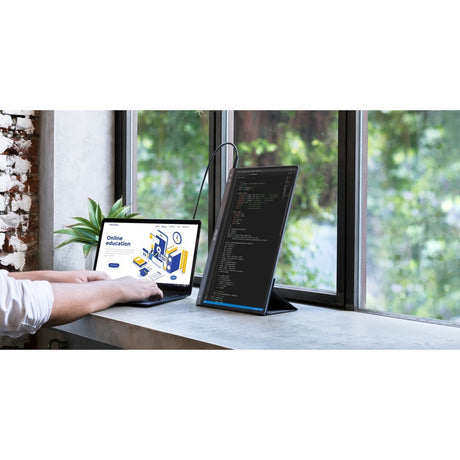 Asus ZenScreen MB14AC 14" Class Full HD LCD Monitor - 16:9 - Dark Gray