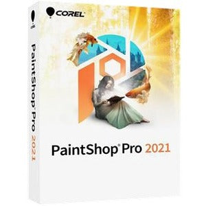 PAINTSHOP PRO 2021 MINI-BOX