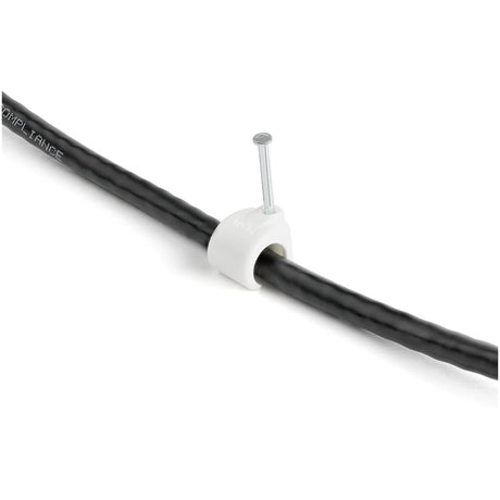 StarTech.com 100 Pk XL Cable Clips w/ Nail - Reusable Nail-in Clamps - Cord Mounting/Holding Clips - Cable Tacks Wire Fasteners White TAA