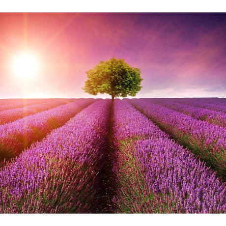 ViewSonic VP2768a 27-Inch Premium IPS 1440p Monitor with Advanced Ergonomics, ColorPro 100% sRGB Rec 709, 14-bit 3D LUT, Eye Care, 90W USB C, RJ45, HDMI, Daisy Chain for Home and Office