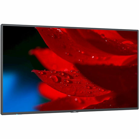 55IN MULTISYNC MA551 LED LCD