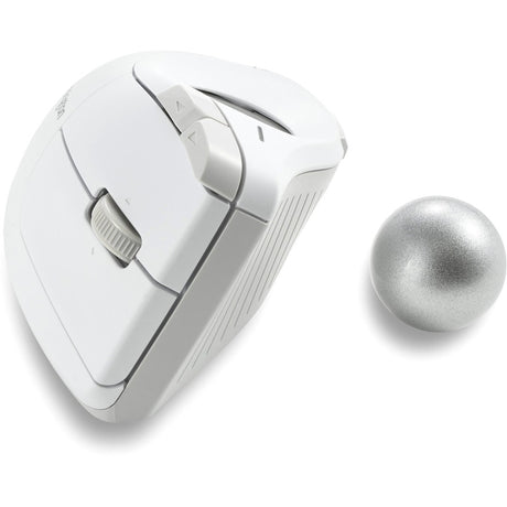 Kensington Pro Fit Ergo Trackball