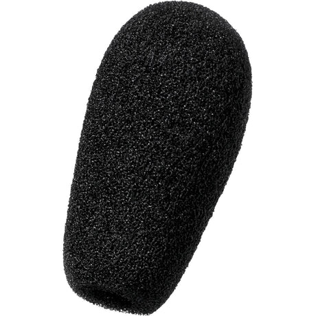 SPARE MIC FOAM DW20/30