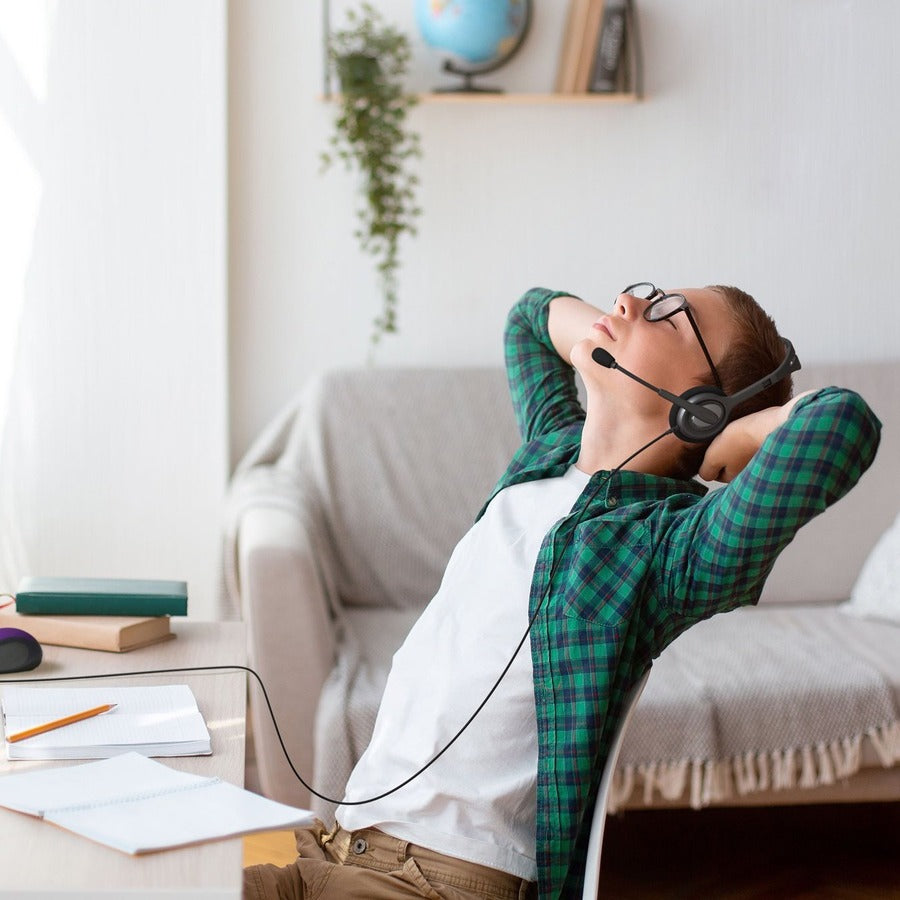 Logitech H111 Stero Headset