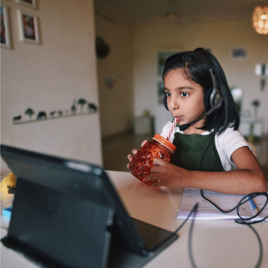 Logitech H111 Stero Headset