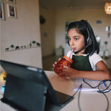 Logitech H111 Stero Headset