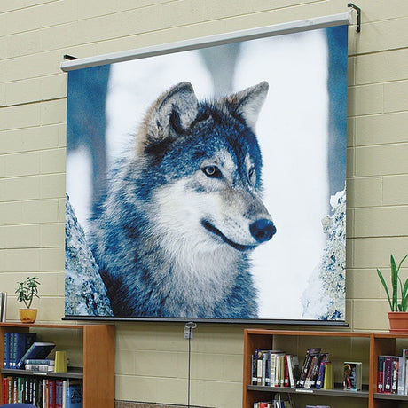 Draper Luma 106" Manual Projection Screen