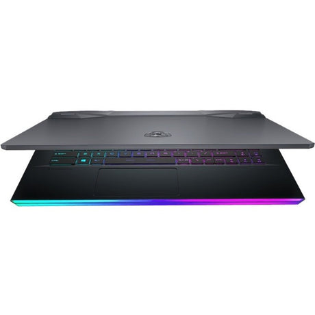 MSI GE66 Raider 10SFS-670 15.6" Gaming Notebook - Full HD - Intel Core i7 10th Gen i7-10750H - 32 GB - 1 TB SSD - Aluminum Black