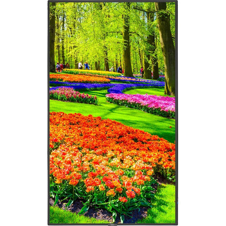 MULTISYNC M431-AVT3-43 LED LCD