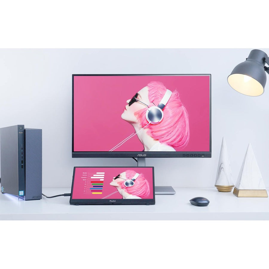 ASUS PROART DISPLAY 14IN 1080P
