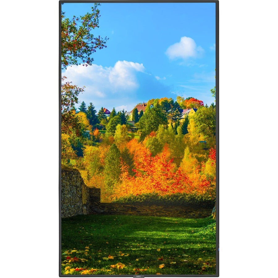 MULTISYNC 55IN DISPLAY W/