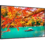 NEC Display MA431-PC5 Digital Signage Display/Appliance