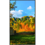 MULTISYNC 55IN DISPLAY WITH