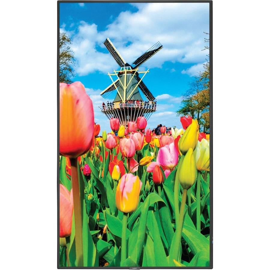 MULTISYNC 55IN DISPLAY WITH