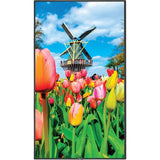 MULTISYNC 55IN DISPLAY WITH