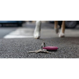 Secure Hldr KeyRing AirTag PNK