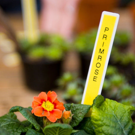 9MM BLACK TEXT ON YELLOW