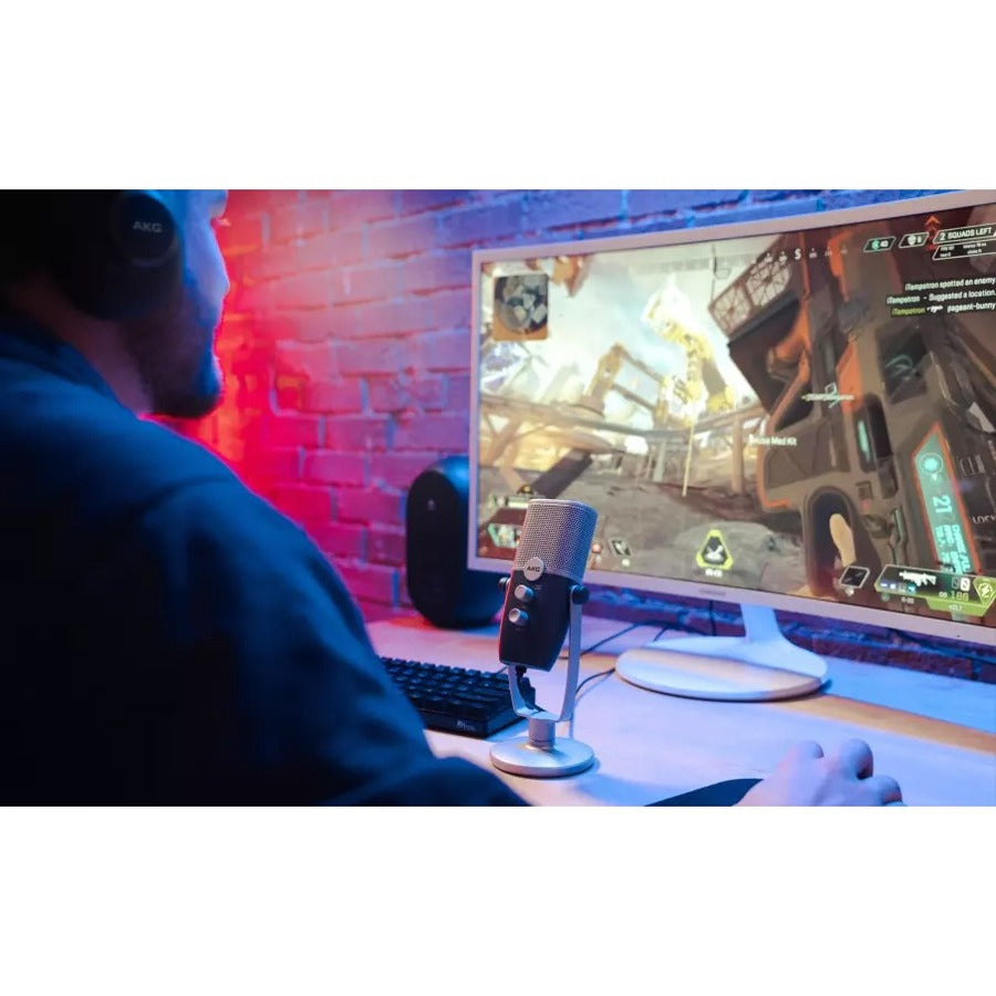 DUAL PATTERN USB MICROPHONE C22