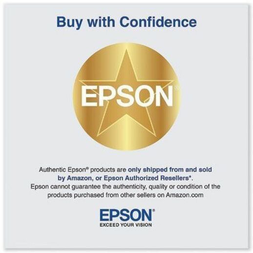 Epson Printer Maintenance Box