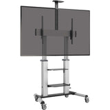 SAFE-IT MOBILE TV CART