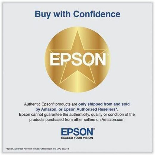 Epson UltraChrome PRO T49A Original High Yield Inkjet Ink Cartridge - Gray - 1 Pack