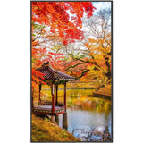 MULTISYNC MA491-IR 49 LED LCD