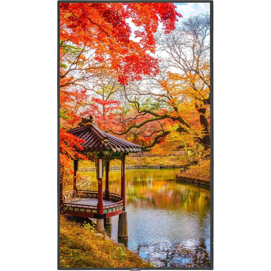 MULTISYNC MA491-PT 49 LED LCD