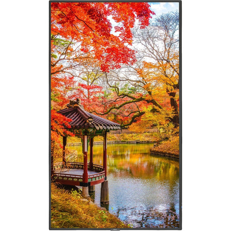 MULTISYNC MA491-PT 49 LED LCD