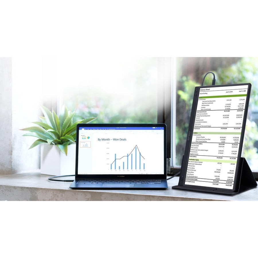 Asus ZenScreen MB166C 16" Class Full HD LCD Monitor - 16:9 - Black