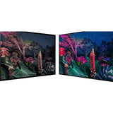 43 LED+TV H  3YR WARR