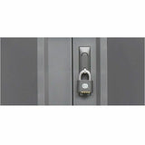 36X COREX CART PLATINUM PAINT