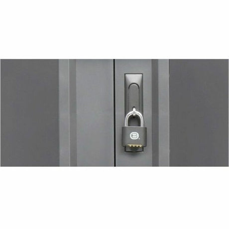 36X COREX CART PLATINUM PAINT