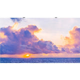 LG LSAC025-SK Digital Signage Display