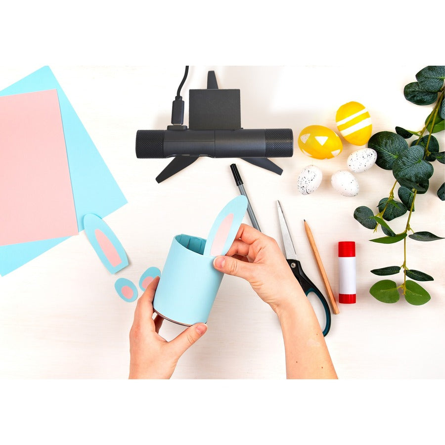 AVERMEDIA PW313D DUAL WEBCAM