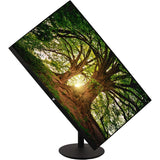 23.8IN HT ADJUST IPS MONITOR