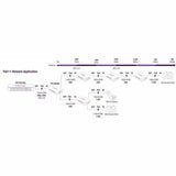 TRENDnet 2-Port Gigabit PoE++ Extender, 1 x Gigabit PoE++ In Port, 2 x Gigabit PoE Out Ports, Extends 100m (328 ft) Up to 200m (656 ft), Daisy Chain 4 Units for up to 500m (1640 ft), Black, TPE-BE200