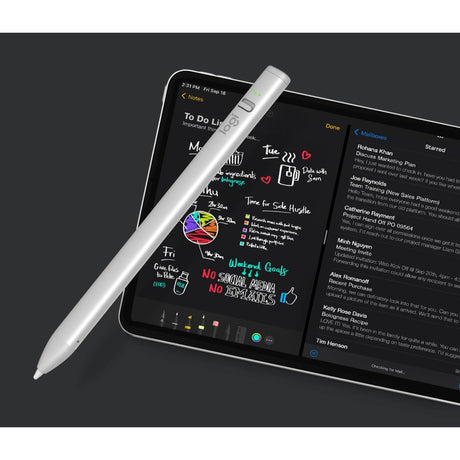 Crayon Dgtl Pencil iPad USB pt