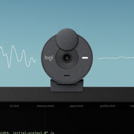 BRIO 300 WEB CAMERA - GRAPHITE