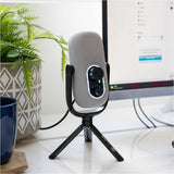 JLab JBuds Talk Wired Condenser, Dynamic Microphone for Studio, Podcasting, Gaming, Recording - White