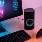 Stereo RGB Desktop Gaming Speakers - Graphite