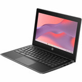HP Fortis G10 14" Chromebook - HD - Intel Celeron N5100 - 8 GB - 128 GB SSD - Jack Black