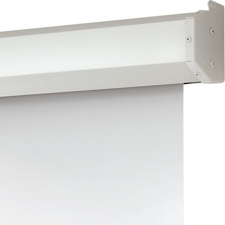 Draper Targa 119" Projection Screen