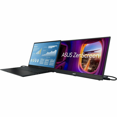 Asus ZenScreen MB17AHG 17" Class Full HD LED Monitor - 16:9