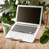 R-Go tablet and laptop stand, Treepod