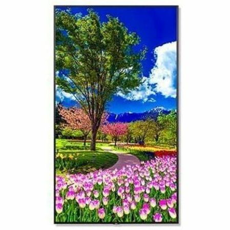 NEC Display M981-AVT3 Digital Signage Display