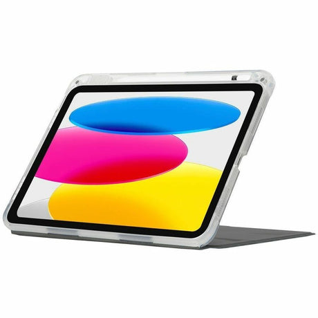 Pro Tek Clear Case for iPad