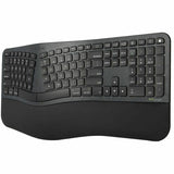 Sustainable Ergonomic EcoSmart